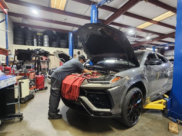 Exotic Auto Repair in Marietta GA
